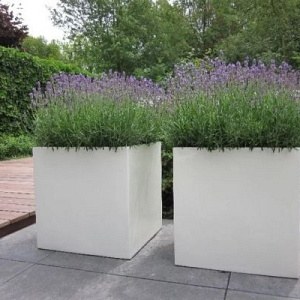 Restpartij Edam: 2 stuks Plantenbak Carrez met bodem polyester 80x80x60 cm Hoogglans Wit