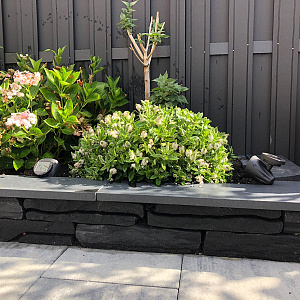 Montagna Muurelementen 42x18x8 cm Carbona