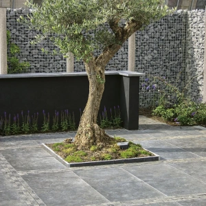 Blue Moon Honed Anticato 100x100x3 cm