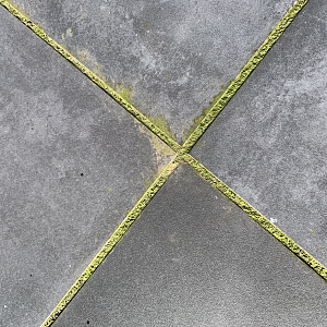 WS Green Clean 1 liter