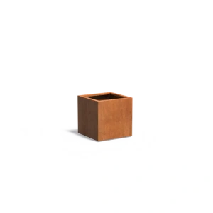 Plantenbak Carrez met bodem cortenstaal 60x60x60 cm