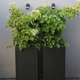 Plantenbak Carrez met bodem polyester 40x40x100 cm