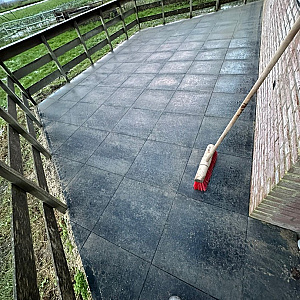 Budget Terrastegel 60x60x4 cm Grijs/Zwart