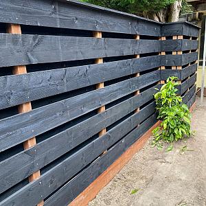 JWOODS Douglas Fijnbezaagde Plank 2,2x20x400 cm, zwart gedompeld