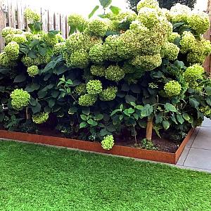 Cortenstaal kantopsluiting geplet 150x0,4x13 cm