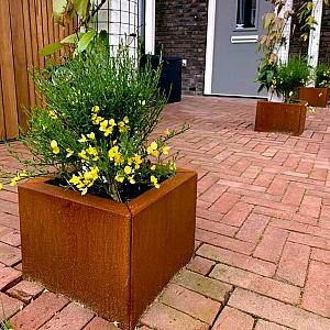 Cortenstaal vierkante plantenbak Miami 30x30x60 cm met bodemplaat + (8) voeten