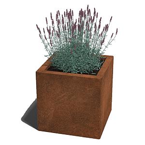 Cortenstaal vierkante plantenbak Miami 40x40x30 cm geen bodemplaat