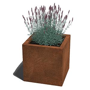 Cortenstaal vierkante plantenbak Miami 40x40x60 cm geen bodemplaat