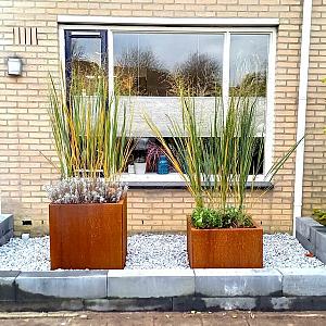 Cortenstaal vierkante plantenbak Miami 60x60x80 cm met bodemplaat