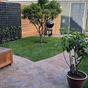 Gebakken Actieklinker Waalformaat 20x5x6 cm Oud Zwanenburg