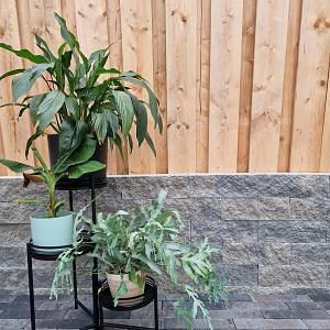 Splitrocks 32x13x11 cm Concrete