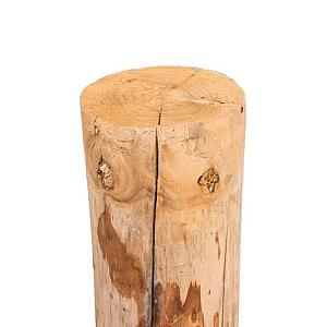 Actie Kastanjepaal geschild en gepunt Ø14-16x300 cm