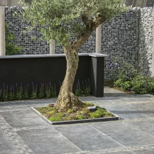 Blue Moon Honed Anticato 100x100x3 cm