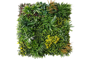 Afbeelding: Kunsthagen