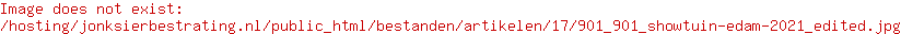 Sierbestrating Jonk Edam
