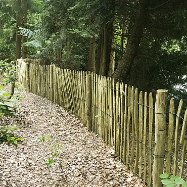 Kastanjepaal, geschild en dun gepunt, Ø10/12x300 cm