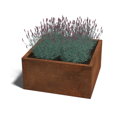 Cortenstaal plantenbak Miami 80 x 80 x 40 cm geen bodemplaat