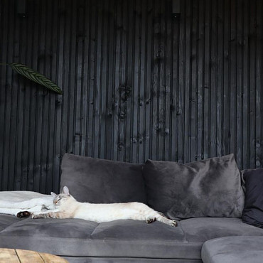 JWOODS Vuren Triple Profiel Plank 2,2x14x240 cm, Zwart Gespoten