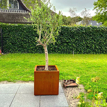 Cortenstaal vierkante plantenbak Miami 60x60x80 cm met bodemplaat