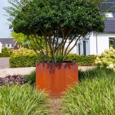Plantenbak Carrez met bodem cortenstaal 80x40x80 cm