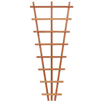 Hardhouten V-trellis 30/65x150 cm.