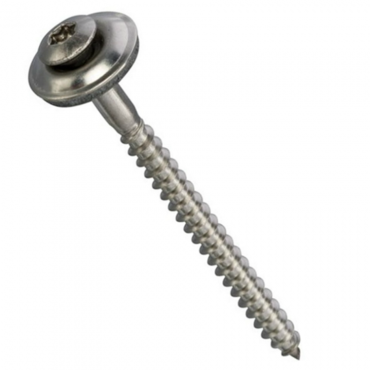 Dakschroef Noortje 4,5x40 mm Torx20
