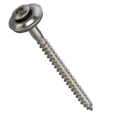 Dakschroef Noortje 4,5x40 mm (daktrim) Torx20
