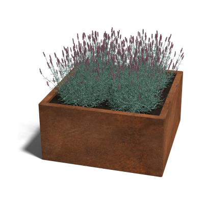 Cortenstaal plantenbak vierkant 80 x 80 cm., hoogte 40 cm.