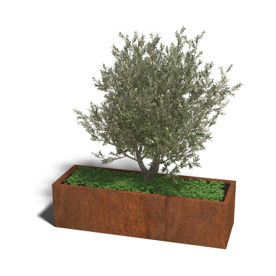 Cortenstaal plantenbak rechthoek XL, 150 x 50 cm., hoogte 50 cm.