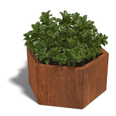 Cortenstaal zeshoekige plantenbak Denver 40, 79,3x69,3x30 cm