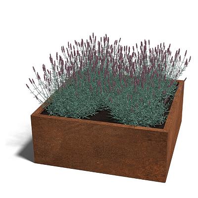 Cortenstaal vierkante plantenbak Miami 100x100x50 cm met bodemplaat