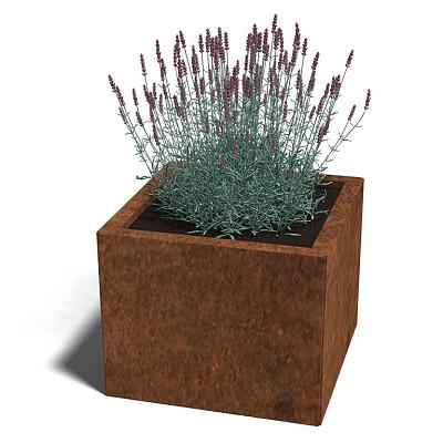 Cortenstaal vierkante plantenbak Miami 50x50x30 cm geen bodemplaat