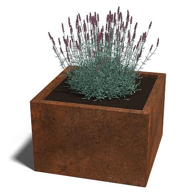 Cortenstaal vierkante plantenbak Miami 60x60x30 cm geen bodemplaat
