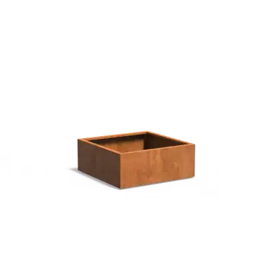 Plantenbak Carrez met bodem cortenstaal 100x100x40 cm