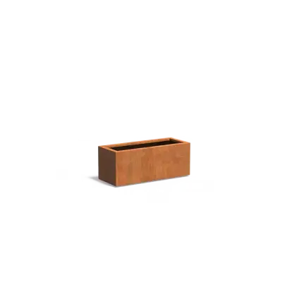 Plantenbak Carrez met bodem cortenstaal 100x40x40 cm