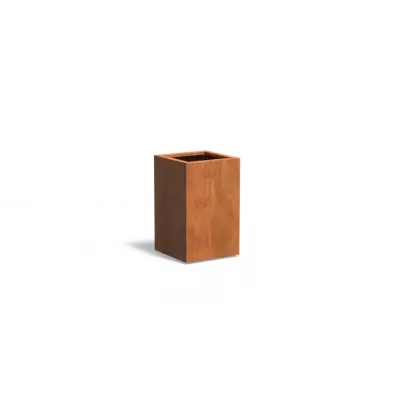 Plantenbak Carrez met bodem cortenstaal 50x50x80 cm