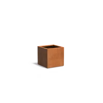 Plantenbak Carrez met bodem cortenstaal 60x60x60 cm