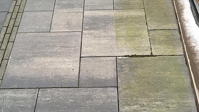 ws green clean 1l algen en mosverwijderaar