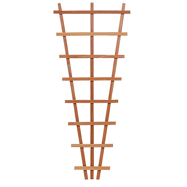 <h2><strong>Hardhouten V-Trellis 30/65x150 cm.</strong></h2><h3>Trellissen geven houvast aan bloemen en klimpllanten.</h3><h3>Hardhouten latten 1,4x2,8 cm.</h3>