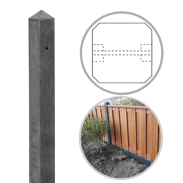 <p><strong>Betonschutting</strong></p><p>Een beton- en houtschutting is een goed alternatief voor een gemetselde muur. Voor het plaatsen van dit systeem behoef je geen fundering aan te leggen en de duurzaamheid is nagenoeg hetzelfde. Ook is een beton- en houtschutting vele malen goedkoper dan metselwerk. Wanneer je kiest voor een beton- en houtschutting van Jonk, dan kies je voor een duurzaam product. De betonpalen en platen zijn verkrijgbaar in de kleuren grijs en antraciet.</p><p>Je kunt bij dit systeem nagenoeg alle tuinschermen bevestigen. Let op! Een betonpaal wordt geproduceerd met twee gaten. Deze gaten zijn bedoeld voor het unibeslag waarbij de L-beugels aan elkaar verbonden worden d.m.v. een stuk tapeind die door de gaten in de palen gaan. Deze gaten zitten op een bepaalde hoogte, welke overeenkomen met een horizontale ligger van een 21-planks scherm of een douglas scherm. Bij alle overige schermen komen de horizontale liggers niet overeen met het voorgeboorde gat. Er zal dus een extra gat geboord moeten worden in de paal of je bevestigt het uni-beslag met kleinere schroeven alleen aan de plank.</p><p> </p>