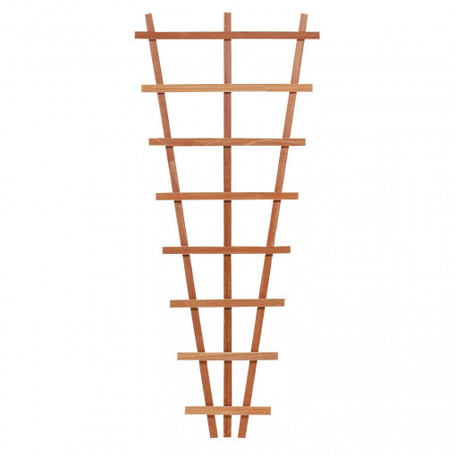 <h2><strong>Hardhouten V-Trellis 30/65x150 cm.</strong></h2><h3>Trellissen geven houvast aan bloemen en klimpllanten.</h3><h3>Hardhouten latten 1,4x2,8 cm.</h3>