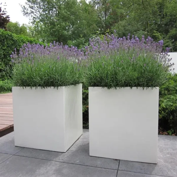Plantenbak Carrez met wielen polyester 70x70x70 cm