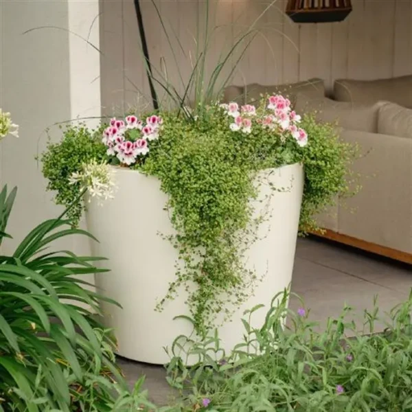 Plantenbak Conic met bodem polyester Ø89x100 cm