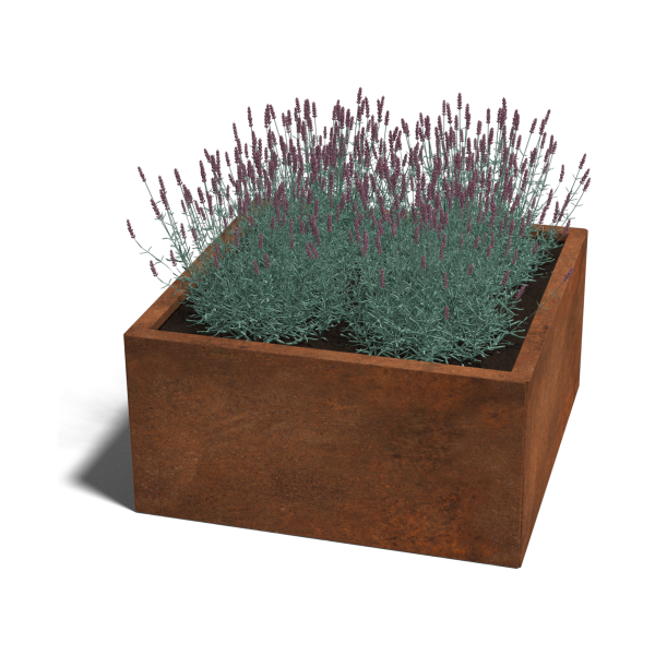 Cortenstaal plantenbak Miami 80 x 80 x 40 cm geen bodemplaat