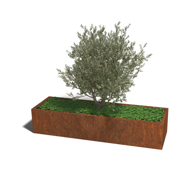 Cortenstaal plantenbak Texas xxl 200 x 60 x 60 cm geen bodemplaat