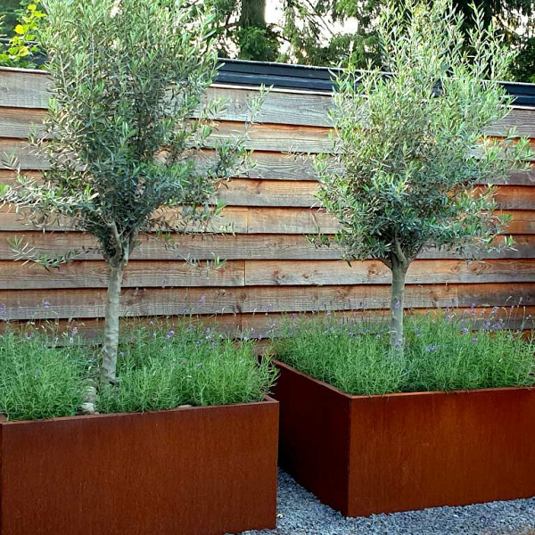 Cortenstaal vierkante plantenbak Miami 120x120x80 cm met bodemplaat