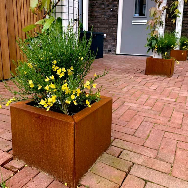 Cortenstaal vierkante plantenbak Miami 30x30x80 cm met bodemplaat