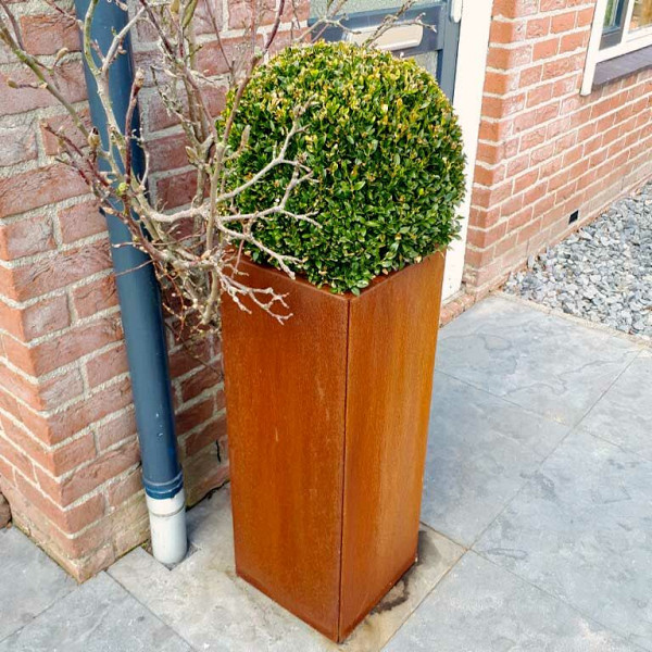 Cortenstaal vierkante plantenbak Miami 30x30x80 cm met bodemplaat