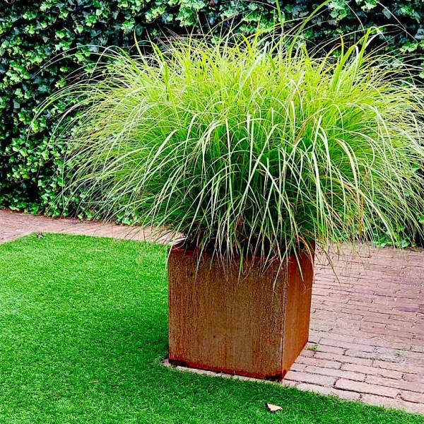 Cortenstaal vierkante plantenbak Miami 40x40x80 cm met bodemplaat