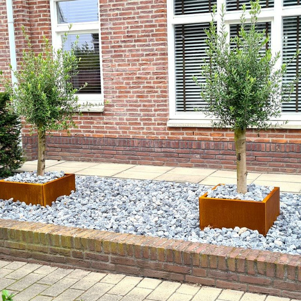 Cortenstaal vierkante plantenbak Miami 60x60x80 cm met bodemplaat + 4 wielen